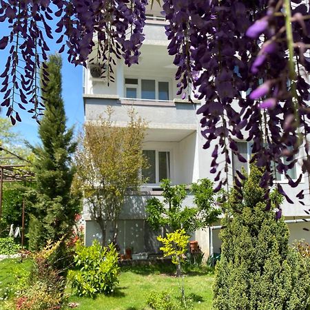 Family Hotel "May" Petrich  Bagian luar foto