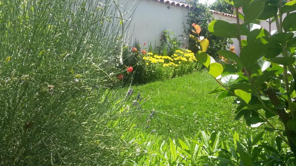 Family Hotel "May" Petrich  Bagian luar foto